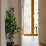 La Grotta Sardegna 5 Bedrooms Each With A Private Ensuite Bathroom Featuring A Hydromassage Shower Air Conditioning Διαμέρισμα Urzulei